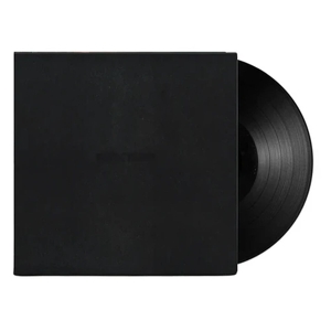 dark-times-lp-staples-vince-def-jam-lp-analog-_0001.JPG