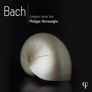 bach-collegium-vocale-gent-philippe-herreweghe-dir_0001.JPG