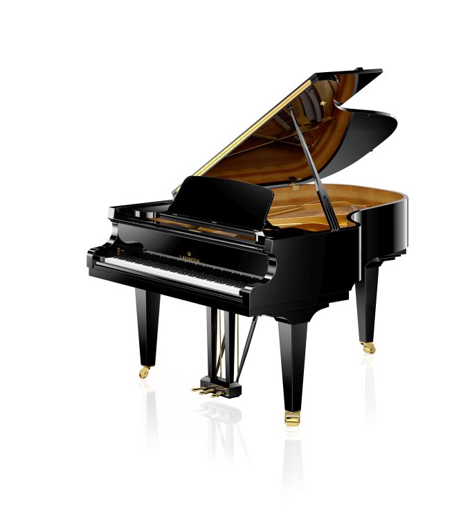 fluegel-c-bechstein-modell-academy-a-190-vario-dig_0001.jpg