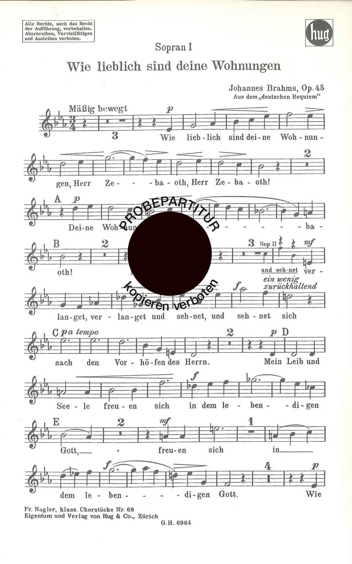 johannes-brahms-wie-lieblich-sind-deine-wohnungen-_0006.JPG