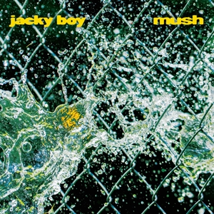 mush-jacky-boy-darling-recordings-lp-analog-_0001.JPG