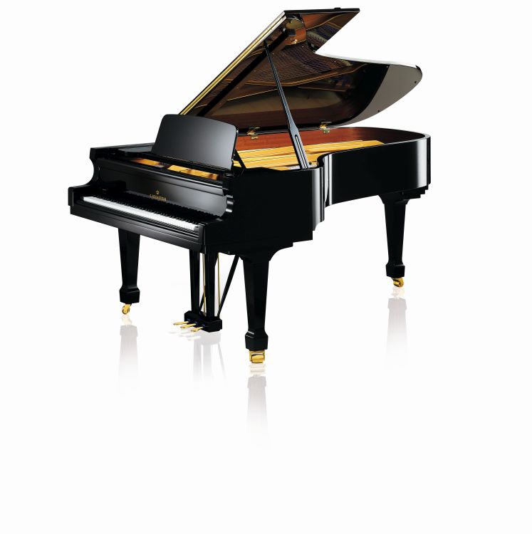 fluegel-c-bechstein-modell-academy-a-228-vario-dig_0001.jpg