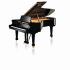 fluegel-c-bechstein-modell-academy-a-228-vario-dig_0001.jpg