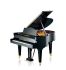 piano-a-queue-c-bechstein-modele-concert-l-167-var_0001.jpg
