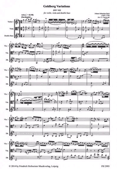 johann-sebastian-bach-goldberg-variationen-bwv-988_0006.JPG
