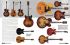 tony-bacon-2000-gitarren-buch-_geb_-_0005.jpg