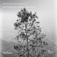 symphony-no-2-ural-philharmonic-orchestra-dmitry-l_0001.JPG
