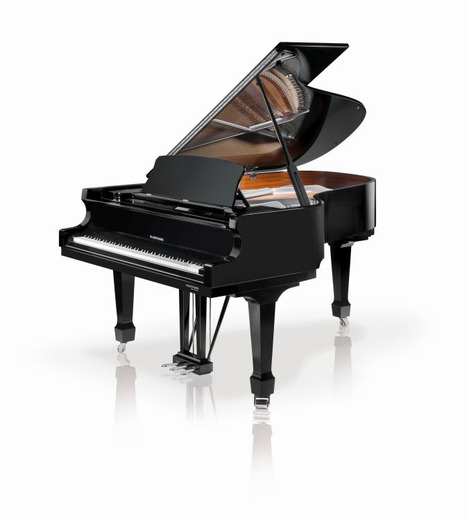 fluegel-w-hoffmann-modell-professionel-p-162-vario_0001.jpg