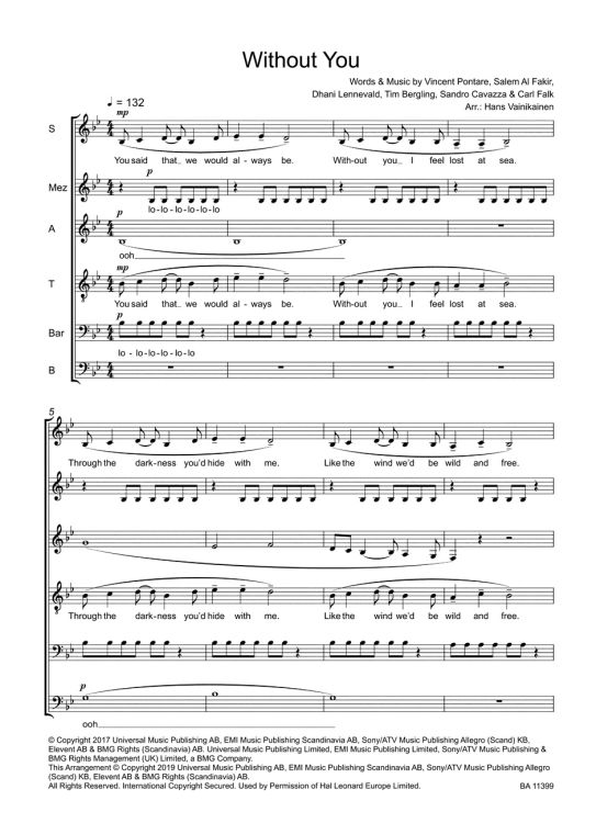 tim-avicii-bergling-without-you-gch-_0002.jpg