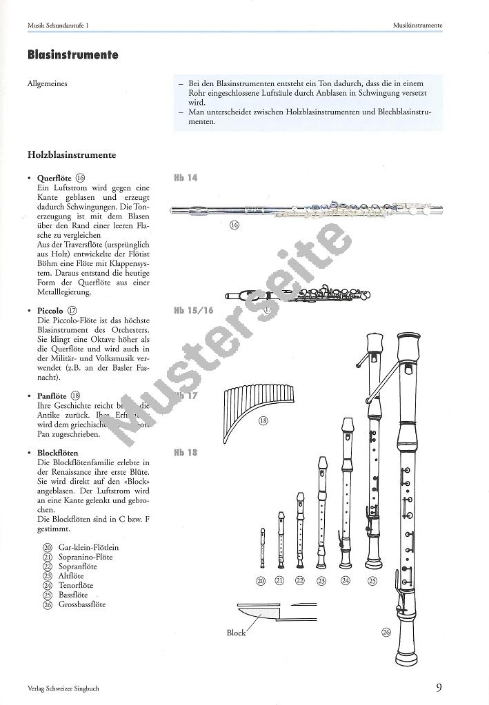 musik-sekundarstufe-vol-1-musikinstrumente-buch-cd_0006.JPG