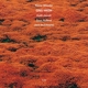 gnu-high-wheeler-kenny-ecm-luminessence-lp-analog-_0001.JPG