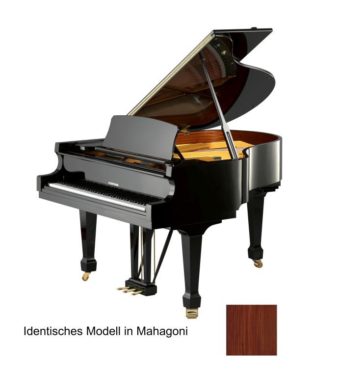 piano-a-queue-w-hoffmann-modele-tradition-161-vari_0001.jpg