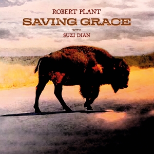 saving-grace-plant-robert-nonesuch-lp-analog-_0001.JPG