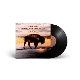 saving-grace-plant-robert-nonesuch-lp-analog-_0002.JPG