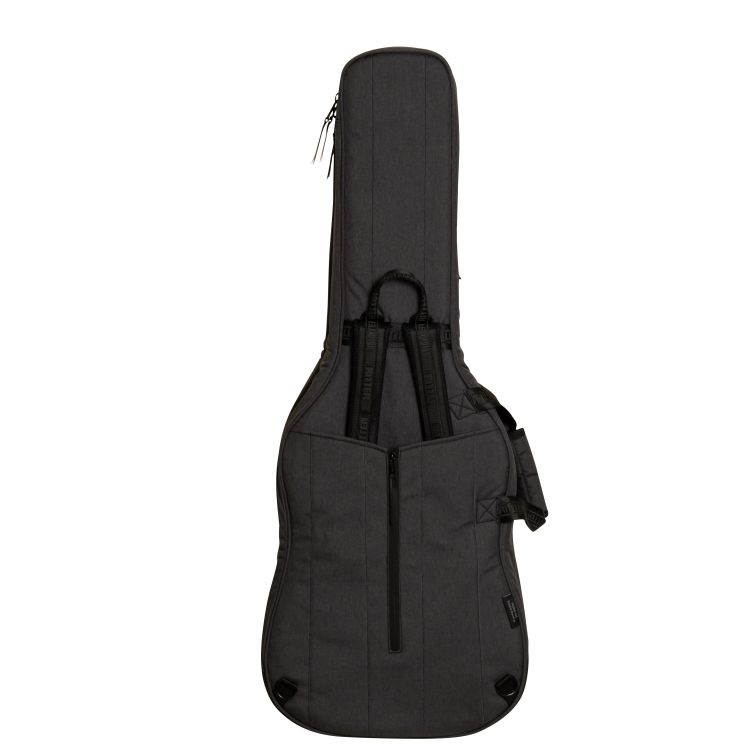 ritter-bern-double-electric-guitar-anthracite-acce_0004.jpg