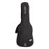 ritter-bern-double-electric-guitar-anthracite-acce_0001.jpg