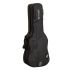ritter-bern-double-electric-guitar-anthracite-acce_0002.jpg