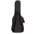ritter-bern-double-electric-guitar-anthracite-acce_0003.jpg