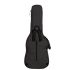 ritter-bern-double-electric-guitar-anthracite-acce_0004.jpg