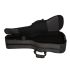 ritter-bern-double-electric-guitar-anthracite-acce_0006.jpg
