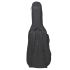ritter-bern-cello-4-4-sea-ground-black-zubehoer-zu_0004.jpg