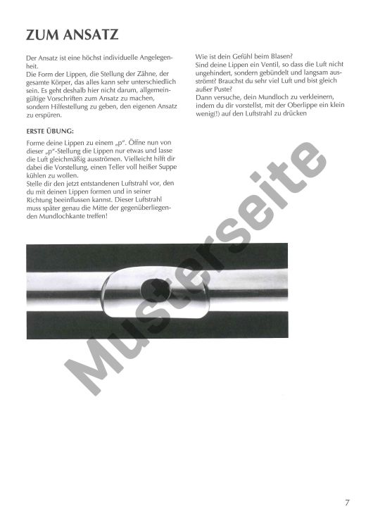 cathrin-ambach-querfloete-spielen-mein-schoenstes-_0004.jpg