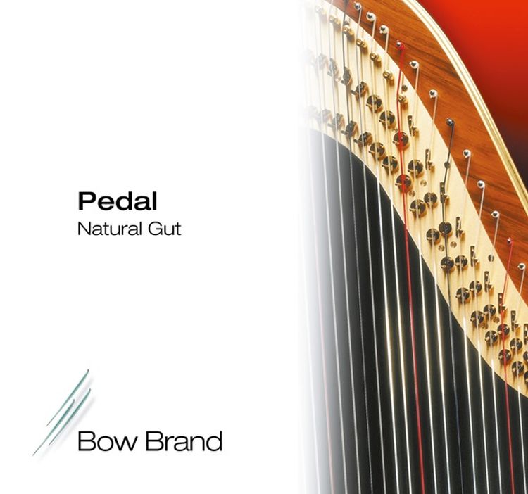 bow-brand-saite-darm-h-4-oktave-no-25-accessoires-_0001.jpg