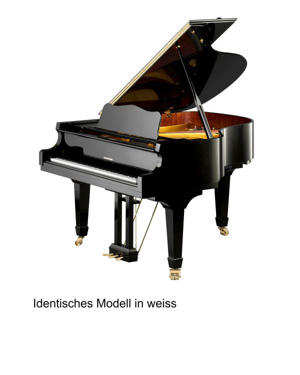 fluegel-w-hoffmann-modell-vision-v-158-vario-digit_0001.jpg