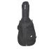 ritter-bern-double-bass-3-4-sea-ground-black-zubeh_0001.jpg