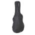ritter-bern-double-bass-3-4-sea-ground-black-zubeh_0002.jpg