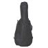 ritter-bern-double-bass-3-4-sea-ground-black-zubeh_0004.jpg