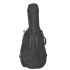 ritter-bern-double-bass-3-4-sea-ground-black-zubeh_0005.jpg