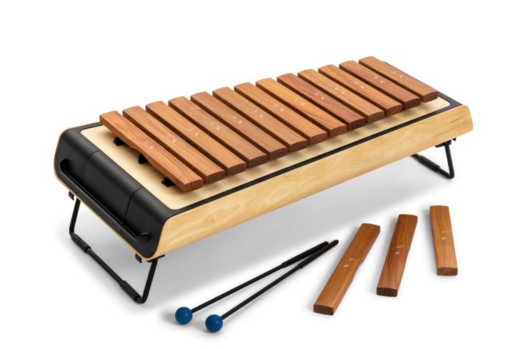xylophone-sonor-ssx-1-1-soprano-smart-de-16-sons-c_0001.jpg