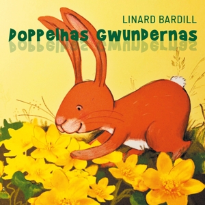 doppelhas-gwundernas-bardill-linard-cd-_0001.JPG