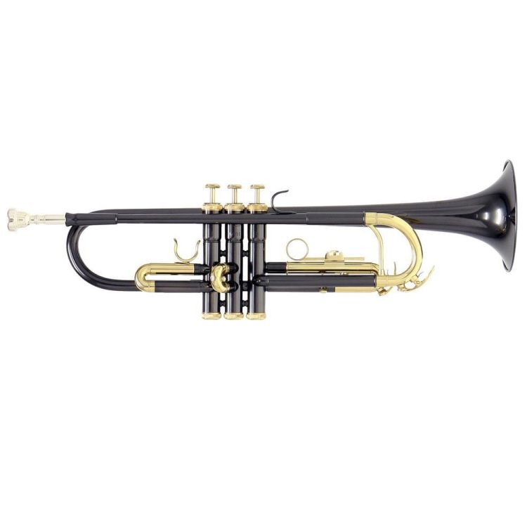 b-trompete-roy-benson-tr-101k-anthrazit-lackiert-_0001.jpg