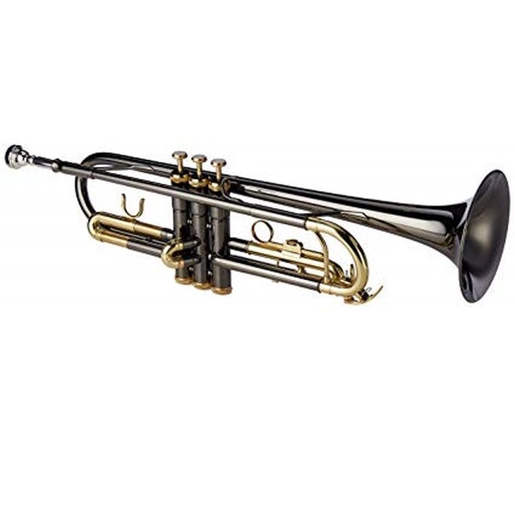 b-trompete-roy-benson-tr-101k-anthrazit-lackiert-s_0002.jpg
