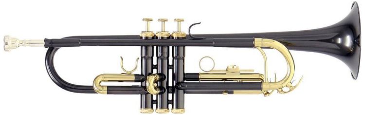 b-trompete-roy-benson-tr-101k-anthrazit-lackiert-s_0003.jpg