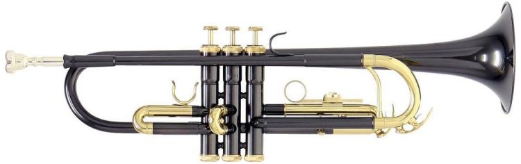 b-trompete-roy-benson-tr-101k-anthrazit-lackiert-_0003.jpg