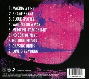 medicine-at-midnight-foo-fighters-cd-_0002.JPG