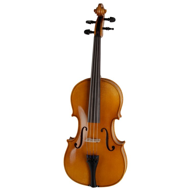 viola-3-4-roderich-paesold-modell-pa702e-13-33-cm-_0001.jpg