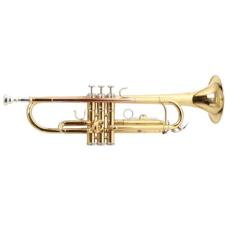 b-trompete-roy-benson-tr-101-lackiert-gold-_0001.jpg