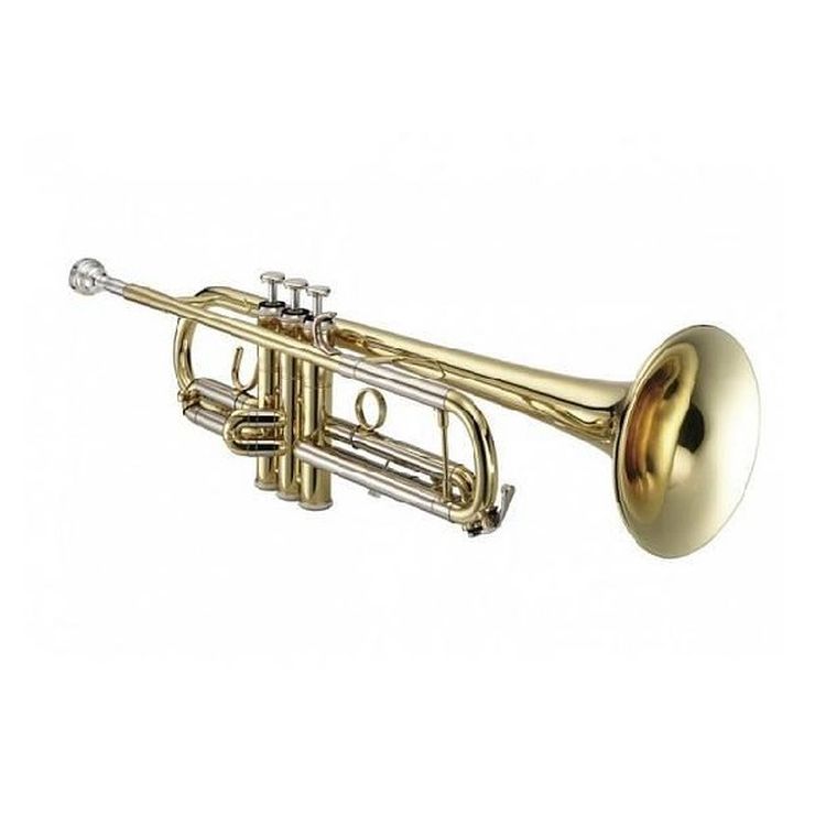 b-trompete-roy-benson-tr-101-lackiert-gold-_0002.jpg