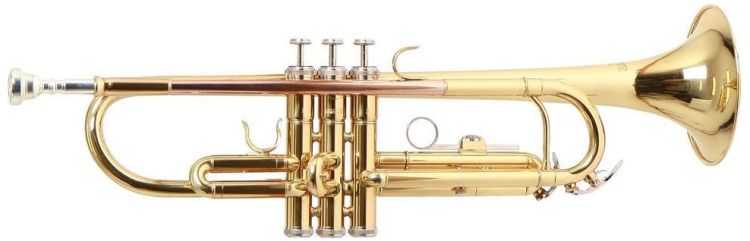 b-trompete-roy-benson-tr-101-lackiert-gold-_0003.jpg