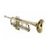 b-trompete-roy-benson-tr-101-lackiert-gold-_0002.jpg