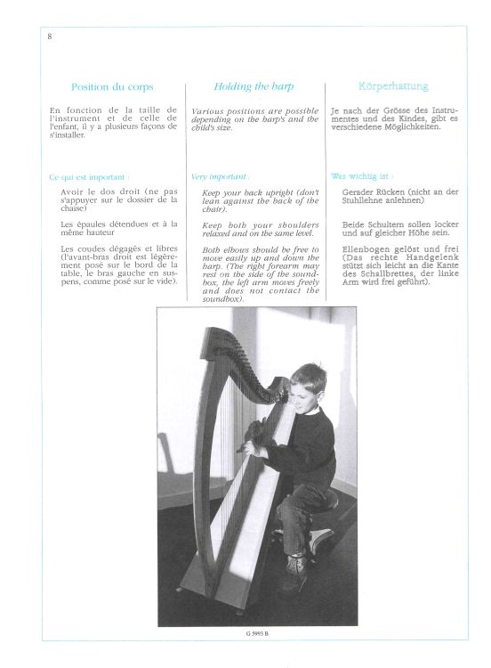 dominig-bouchaud-harpe-dor-golden-harp-goldene-har_0007.jpg