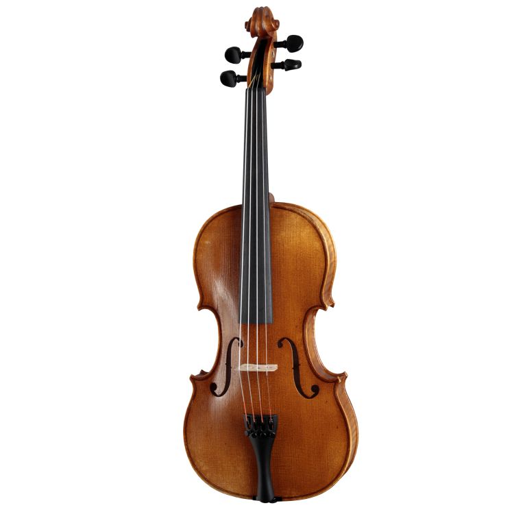 violon-3-4-roderich-paesold-modele-pa802e-3-4-_0001.jpg