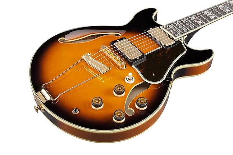 electric-guitar-ibanez-model-am2000h-_0003.jpg