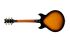 electric-guitar-ibanez-model-am2000h-_0002.jpg