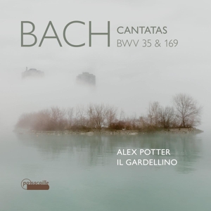 cantatas-bwv-35--169-alex-potter-countertenor-il-g_0001.JPG