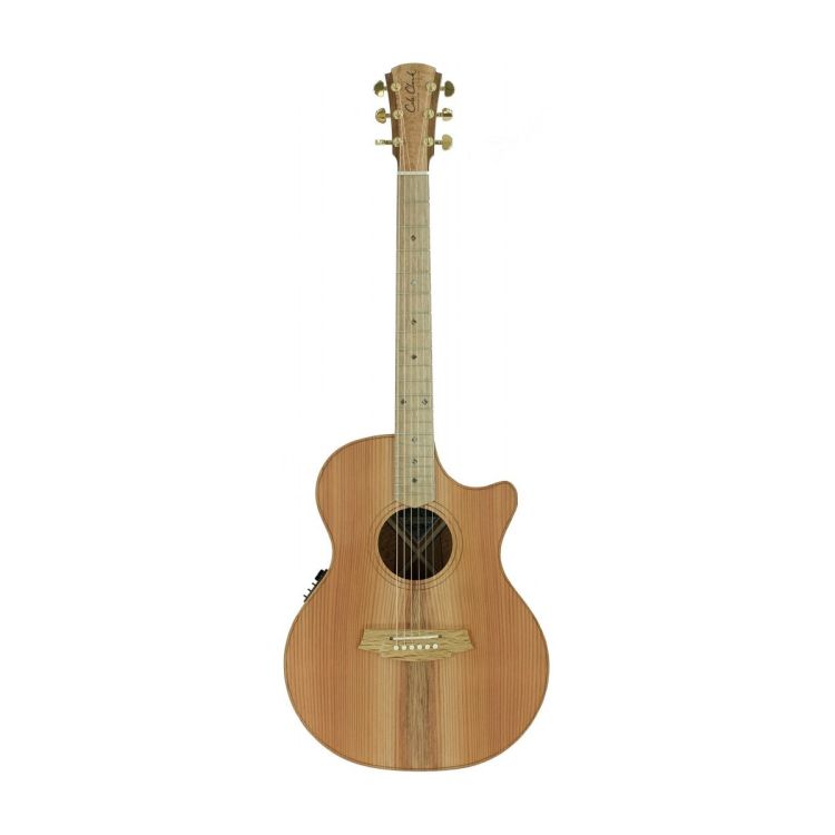 guitare-folk-cole-clark-modele-ccan2ec-rdso-_0001.jpg